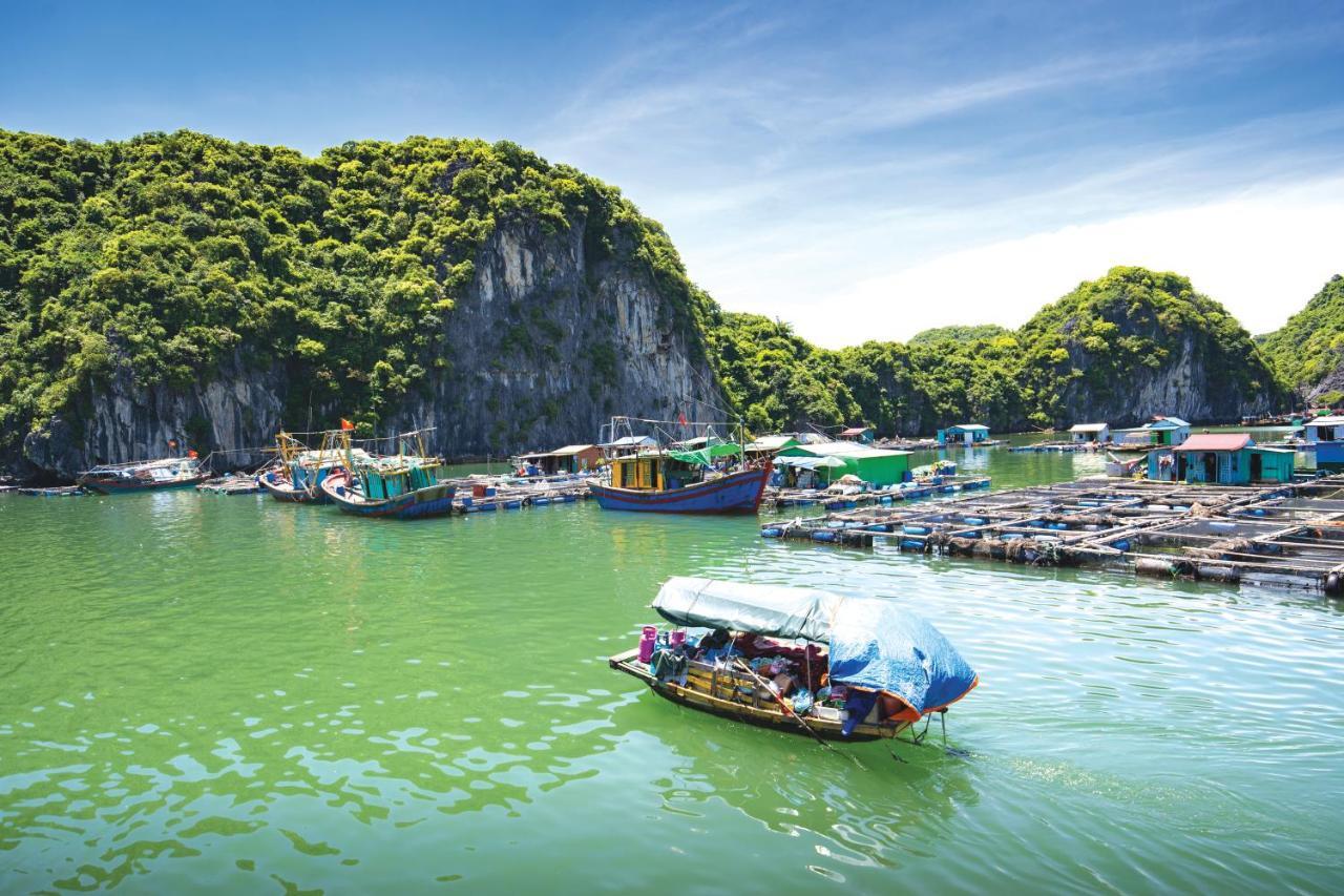 Sena Cruises - Wonder On Lan Ha Bay Hotel Ha Long Eksteriør billede